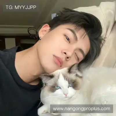 罗辰羿